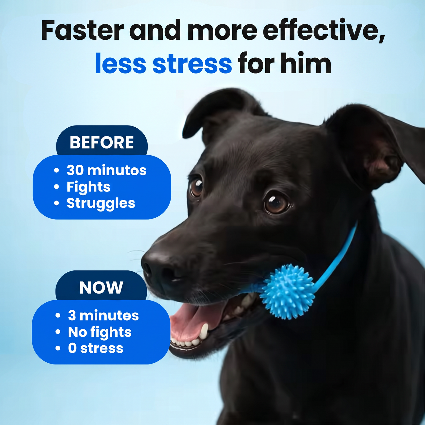 PearlyPaw™ Dog Teeth Cleaner