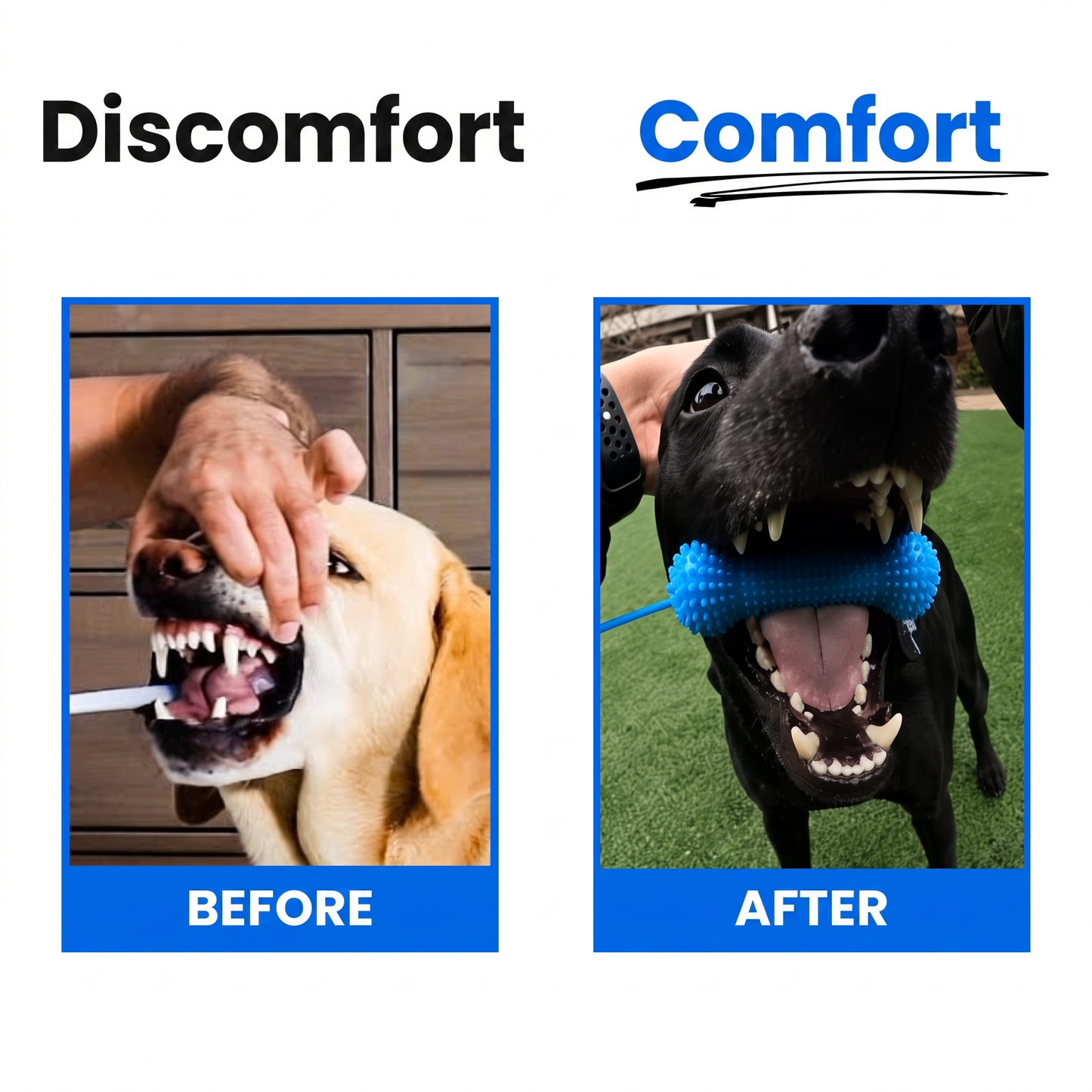 PearlyPaw™ Dog Teeth Cleaner