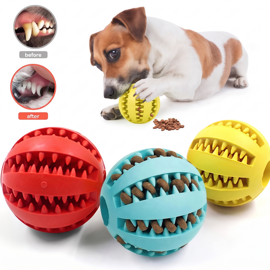 Dental Chew Ball